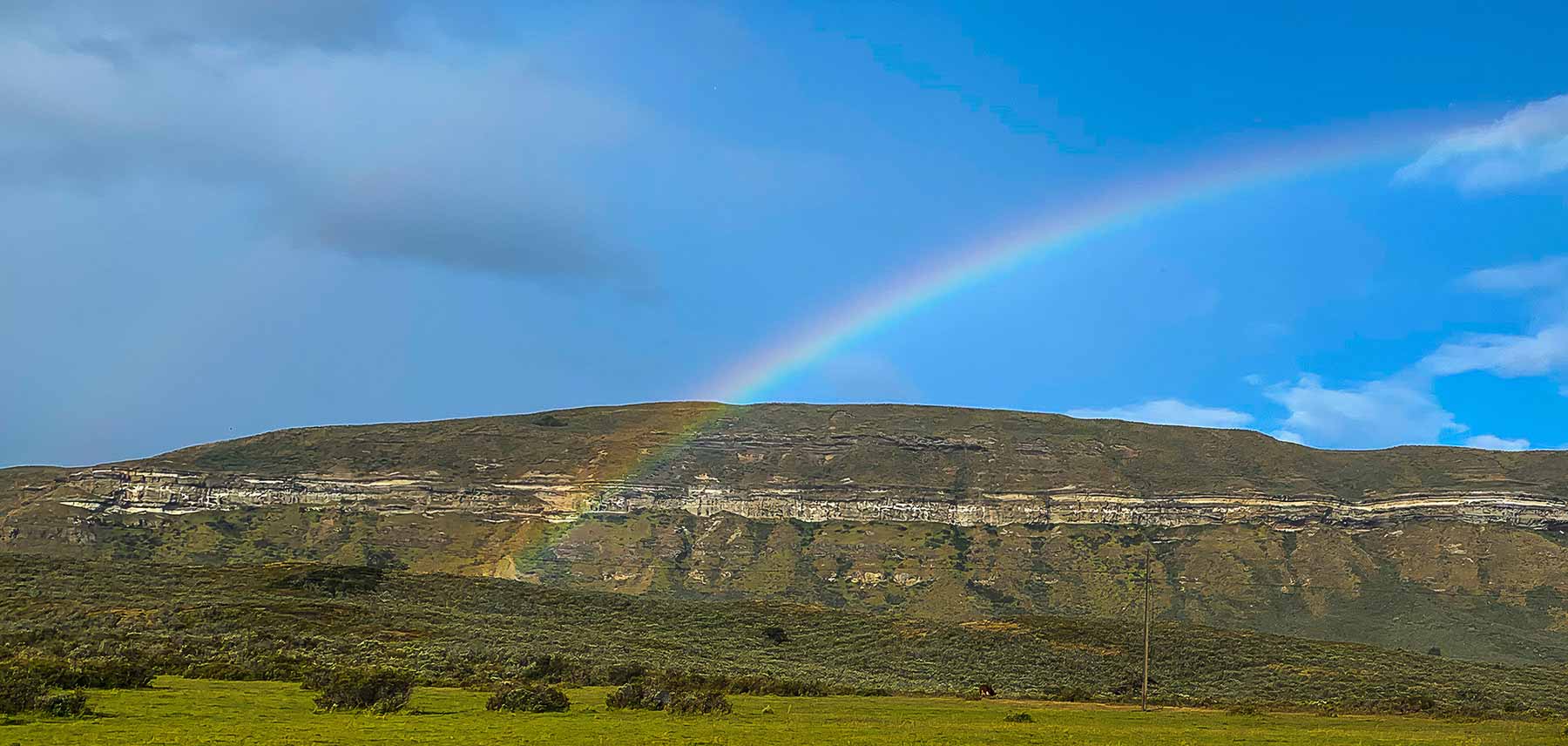Condor Cliffs - Argentina - Southwild 2021