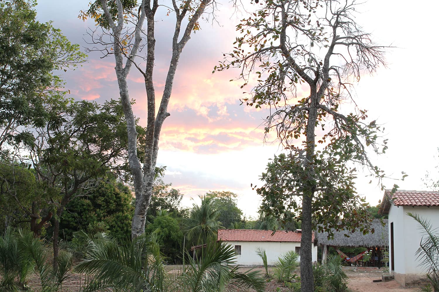 SouthWIld Wolf Camps (5)